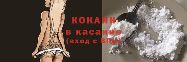 соль ск Алзамай
