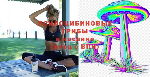 соль ск Алзамай