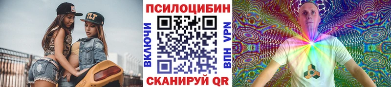 Псилоцибиновые грибы GOLDEN TEACHER Юрьев-Польский
